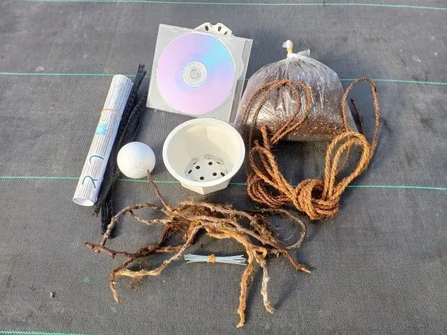 日本産つりしのぶ　約9ｃｍ玉型　材料セット