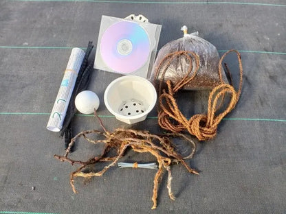 日本産つりしのぶ　約9ｃｍ玉型　材料セット